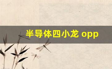 半导体四小龙 oppo(半导体四小龙是哪四个哲酷)_https://www.luoxuangg888.com_创业板_第1张